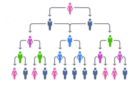advantages   hierarchical organizational structure
