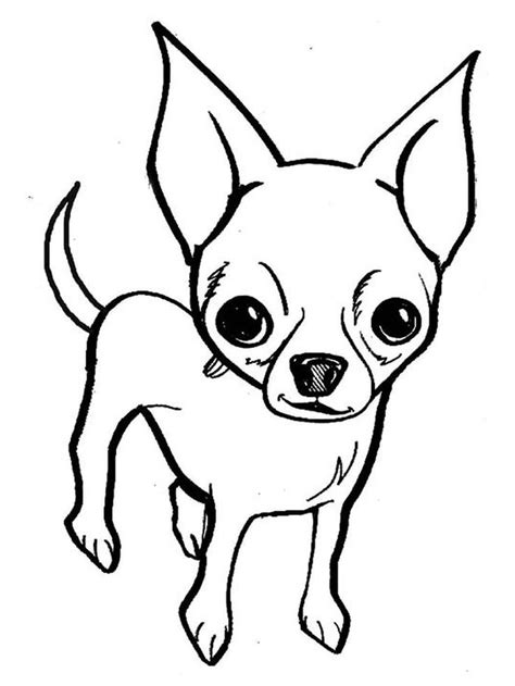 chihuahua coloring pages  adults chihuahua  dog smallest breed