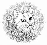 Mandala Coloriage Kucing Lucu Coloration Kleurend Mewarnai Licorne Blanche Fabuleuse Mehendi sketch template