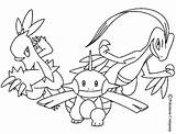 Pokemons Juntos Combusken Colorir Marshtomp Imprimir Coloriage Colorier Lutando Imprimer Flygon Battles Masko sketch template
