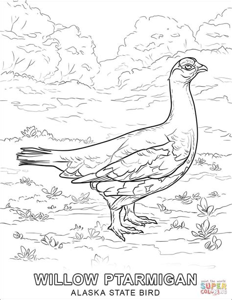 alaska state bird coloring page  printable coloring pages