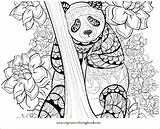 Panda Kolorowanki Bestcoloringpagesforkids Wydruku sketch template