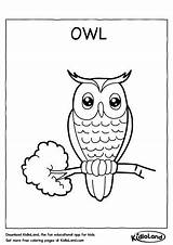 Owl Coloring Worksheets Worksheet Kidloland Printable Printables Kids sketch template