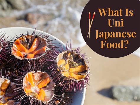 uni japanese food discover  japanese delicacy sanraku
