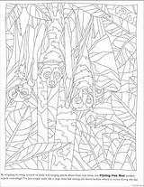 Coloring Pages Dover Animals Camouflage Choose Board Animal sketch template