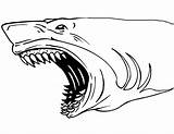 Shark Sharks Jaws Terrifying Thresher sketch template
