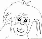Gorilla Coloring Baby Small Pages Coloringpages101 Kids sketch template