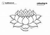 Lotus Colouring sketch template