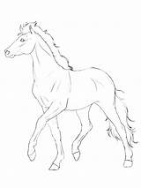 Haflinger Kleurplaat Paard Leukekleurplaten Caballo Kleurplaten Dibujosparaimprimir Paarden Coloringpage één Leuke sketch template