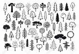 Trees Elements Conifer Outlined Silhouettes Plotter sketch template