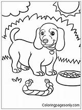 Coloring Dog Weiner Pages Puppy Color Animal Kids Sheets Colouring Books Printable Online Print Farm Adult Getcolorings Getdrawings Worksheets Coloringpagesonly sketch template