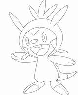 Pokemon Coloring Chespin Pages Greninja Combee Linoone Pichu Getcolorings Getdrawings Coloringpagesonly sketch template