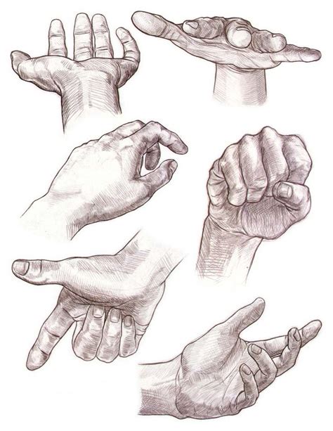hands drawing reference  sketches  artists