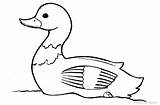 Duck Coloring Pages Lineart Printable Adults Kids sketch template