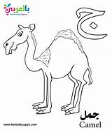 Arabic Coloring Alphabet Pages Belarabyapps Letter Kindergartners Teaching Kindergarten sketch template