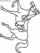 Pages Secretariat Race Horse Template Coloring sketch template