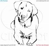 Labrador Coloring Retriever Clipart Dog Lying Down Lab Head Pages Drawings Outline Drawing Illustration Vector Curious Clip Cute Line Silhouette sketch template