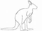 Kangaroo Drawing Simple Kids Wallaby Outline Draw Cute Drawings Getdrawings Australian Paintingvalley Collection sketch template