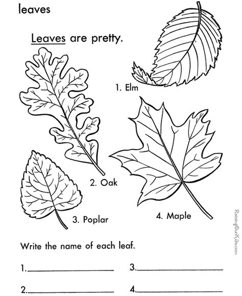 leaf printable coloring pages hubpages