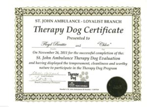service dog certificate template snowmanadventure