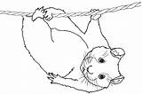 Hamster Humphrey sketch template