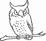 Coloring Pages Owl Owls Animal Book Screech Books Printable Choose Board Outline Pattern Illustration sketch template