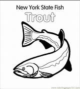 Trout Designlooter sketch template