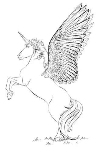 adult unicorn rearing coloring pages coloring cool