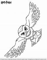 Potter Hedwig Eule Dibujos Dobby Malvorlage Ausmalen Hogwarts Sketch Coloringlibrary Thème Draco Lechuza Malfoy Lechuzas Abrir sketch template
