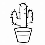 Cactus Cacto Cactos Colorare Disegni Colorir Suculentas Dibujar Facili Ultracoloringpages Kawaii Faciles Macetas Riscos Noun Mexicano Geometrico sketch template