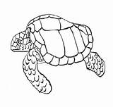 Turtles sketch template
