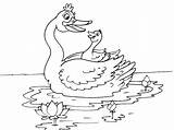 Cygne Coloriage Coloriages Cygnes Animaux sketch template