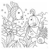 Fish Coloring Pages Print Color sketch template