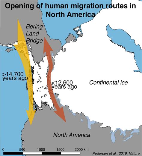 study refutes theory   humans populated north america