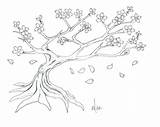 Tree Drawing Blossom Cherry Sakura Step Drawings Blossoms Paintingvalley sketch template