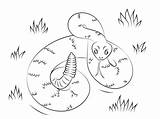 Rattlesnake Coloring Pages Choose Board sketch template
