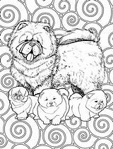 Coloring Pages Chow Dog Coloriage Chows Adult Mandala Dogs Chien Choose Board Print sketch template