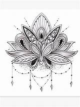 Mandala Lotus Flower Tattoo Drawing Tattoos Clipart Redbubble Print Designs Flor Loto Drawings Sternum Lotusblume Flowers Wrist Tatuaje Fleur Small sketch template