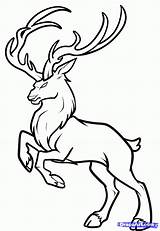 Deer Coloring Pages Baby Buck Reindeer Realistic Drawing Draw Simple Stag Mule Drawings Easy Test Dragoart Clipart Step Gif Printable sketch template