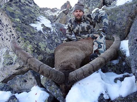 7 day mid caucasian tur hunt for 1 hunter in russia wsf world