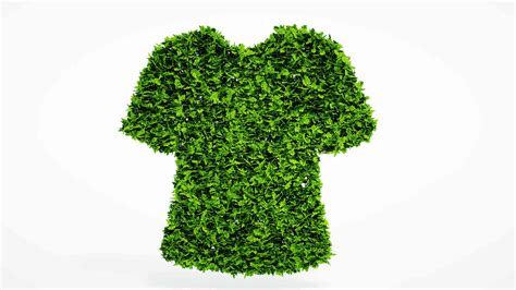 sustainable fashion      carbon literacy project