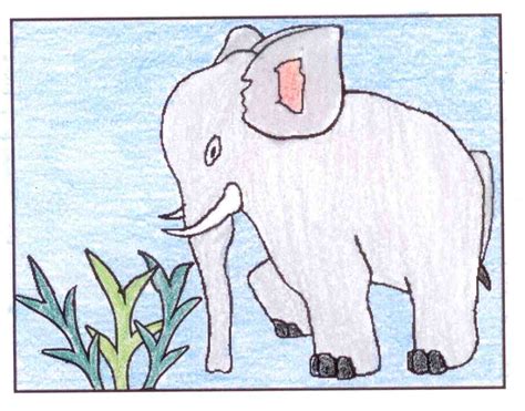 cool kidz elephant colored drawing
