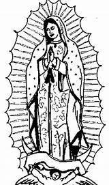 Guadalupe Virgen Para Colorear La Maria Dibujos Coloring Imagenes Pages Rosa Lady Imágenes Clipartmag Drawing sketch template