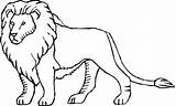 Leu Leeuwen Singa Mewarnai Kartun Dieren Colorat Planse Binatang Desene Coloriages Animaatjes Hewan Teamiran sketch template