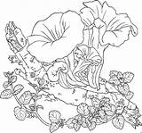 Blumen Bilder Vorlagen Erwachsene Ausmalbild Bei Wald Ausmalen Malvorlage Kinderbilder Malvorlagengratis sketch template