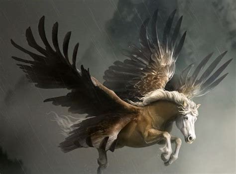 pegasus   yewrezz pegasus art fantasy horses fantasy creature art