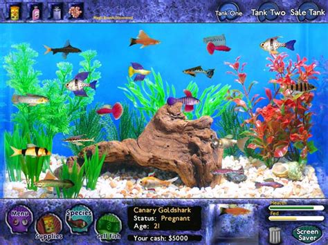 beautiful fish   world fish games
