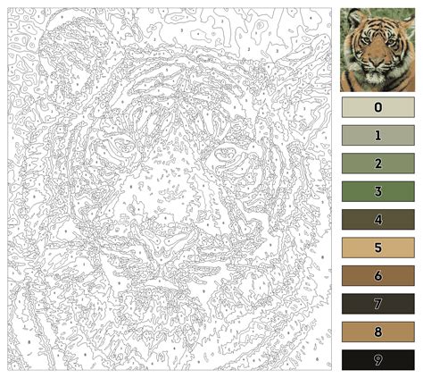 hard color  number coloring pages printable