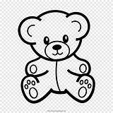 Bear Peluche Urso Oso Colorare Orsacchiotto Disegni Pngegg Cuddly Osito Paintingvalley Ultracoloringpages sketch template