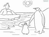 Penguin Coloring Antarctica Printable Sheets Kids Pages Penguins Facts Color Print Getdrawings Printables sketch template